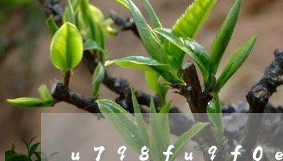 E星体育官方网站茗茶是什么茶叶(了解茗茶的种类和E星体育特点)