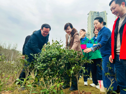 E星体育官网E星体育官方网站共育共建共享 我为金牛添份绿——2024茶文化公园育新社区植树节活动(图1)