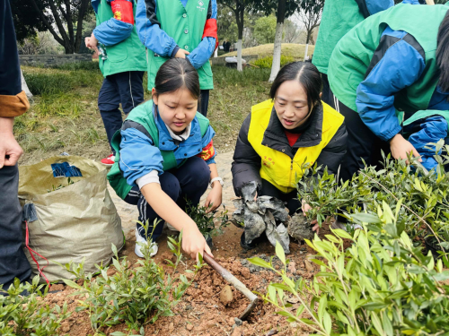 E星体育官网E星体育官方网站共育共建共享 我为金牛添份绿——2024茶文化公园育新社区植树节活动(图3)