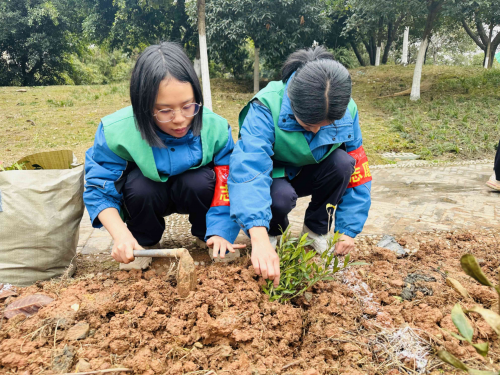 E星体育官网E星体育官方网站共育共建共享 我为金牛添份绿——2024茶文化公园育新社区植树节活动(图4)