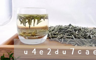 E星体育官方网站争夺新茶饮第二股｜蜜雪冰城、沪上阿姨、古茗茶饮与霸王茶姬IPO推手之争