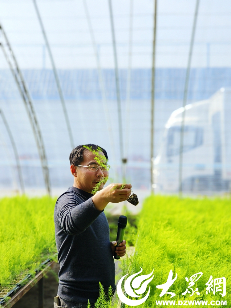 旺达E星体育官网种苗、孟庄草莓、蒂夷茗茶香小镇……看市中区这俩乡镇解E星体育官方网站锁品牌农业发展“密码”(图2)