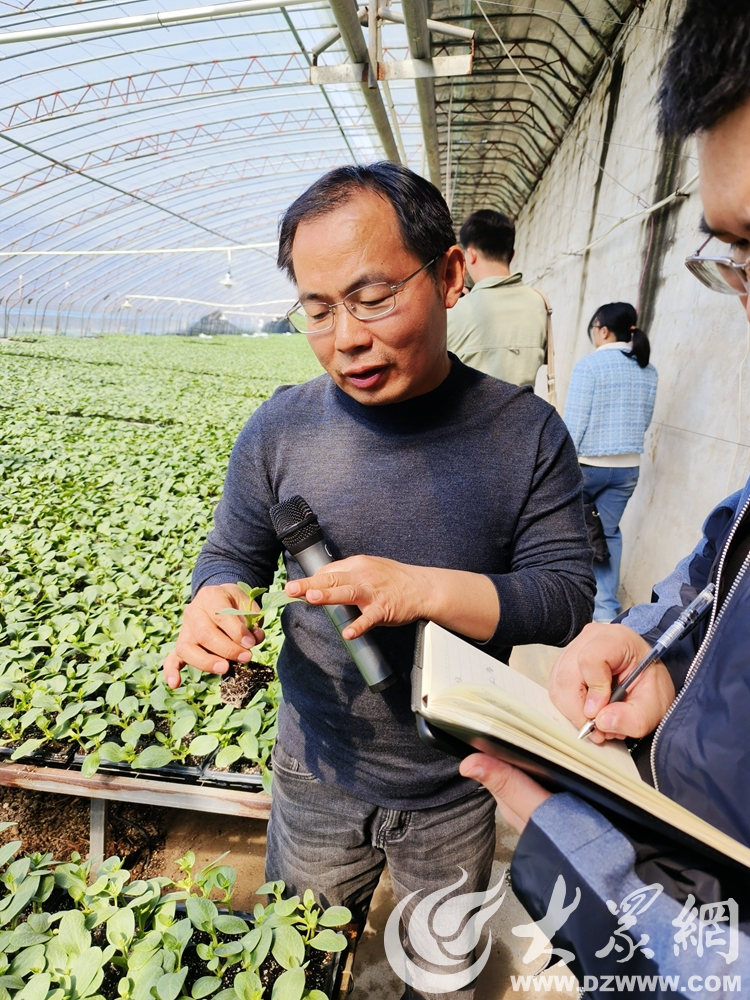 旺达E星体育官网种苗、孟庄草莓、蒂夷茗茶香小镇……看市中区这俩乡镇解E星体育官方网站锁品牌农业发展“密码”(图3)