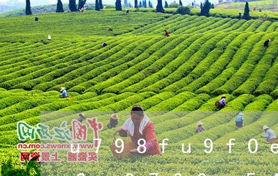 蒙顶山茶史博物馆：迎来故宫贡茶文物组团“回家”