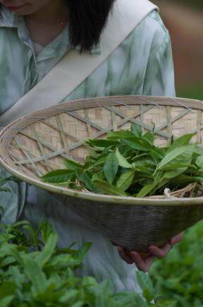 喜茶发布新茶饮茶文旅线路攻略 品质供应链推动茶文化创新(图1)