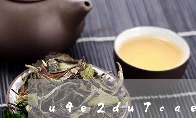 威海威茗茶业携新品亮相国际食品博览会