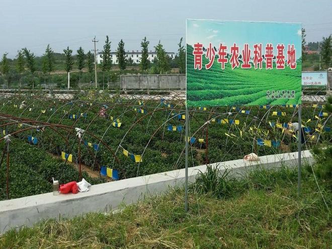 泉城茗茶长清常青——四寻茗茶山东济南调研茶叶资源E星体育官方网站(图2)