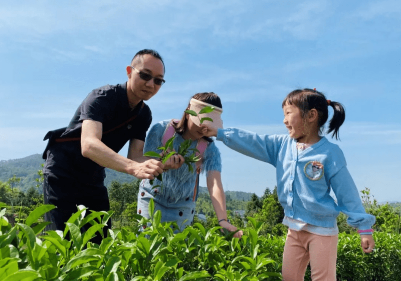 国际茶日丨茶叶、茶饮、茶文化……一杯茶的N种玩法(图7)